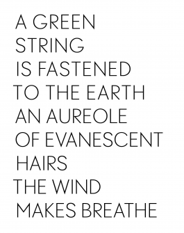 Yale School of Art, Type Design