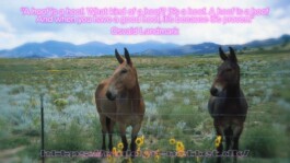 Yale School of Art, Type Design