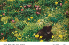 Yale School of Art, Type Design