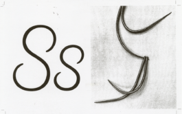 Yale School of Art, Type Design