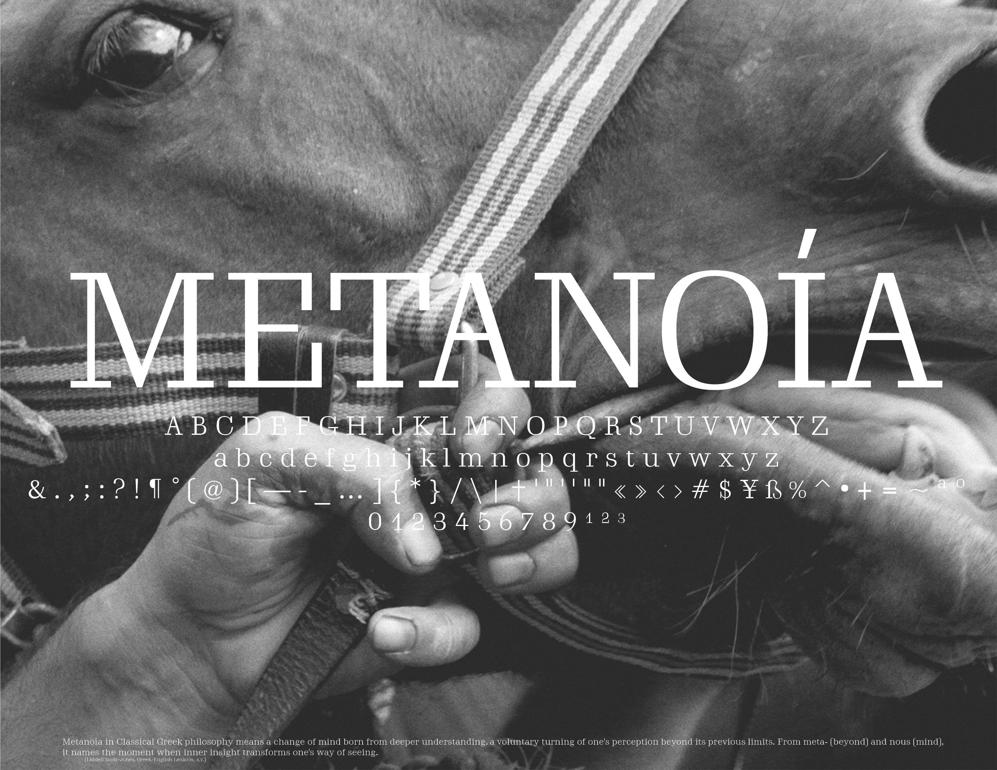 Yale School of Art, Type Design